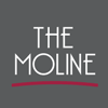 The Moline logo